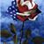 Sue Cantrell's profile image