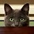 Doris Casselton's profile image
