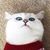 Xiaolin Xu's profile image