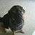 Gina Robertson's profile image