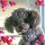 Jan Webb's profile image