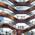 Irina Gontar's profile image