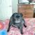 Hollybug Hall's profile image