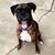 Tina Adams-Daffron's profile image