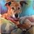 Lisa Smith Wiggins's profile image