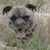 John Purdum's profile image