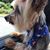 Myra Willis Holer's profile image