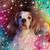 Judy Baumgartner's profile image