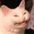 Shannon Sanford's profile image