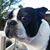 Russell Wilhite's profile image