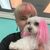 Heather Jones Ausburne's profile image