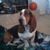 Jackie Child Meredith's profile image