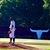 Wendell Wright's profile image