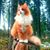 Sally Smoller's profile image