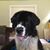 Tom Bozek's profile image