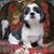 Mary P Hillman's profile image