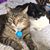 Karen Visone's profile image
