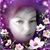 Jennifer Moreno's profile image