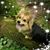 Krissy Chapman's profile image