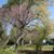 Jeannette Wagoner's profile image