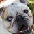 Sharon Nobs-Harris's profile image