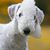 Eunice Chao Stephens's profile image