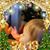 Kathi Cook Taylor's profile image