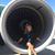 Dana Leyden Perry's profile image