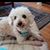 Jeanie Doc's profile image