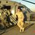 John Hutto's profile image