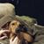 Daniel Audie Knox's profile image