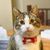 Lisa Gray's profile image