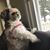 Theresa Carroll Lipari's profile image