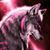 Wyatt Wolfe's profile image