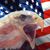 Jack Rice's profile image