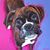 Tammy Dunning's profile image
