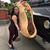 Anna Maudlin's profile image