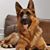 Sasha Vander Bailey's profile image