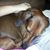 Sandi Smith's profile image