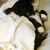 Donna Seaman's profile image