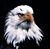 Jocelyn Rodrigues's profile image
