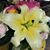 Linda Wygant's profile image