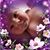 Lisa Cummins's profile image
