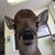 Sharla Padgett McKellar's profile image
