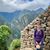 Sarah Wolf's profile image