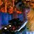 Stephen Pamplin's profile image