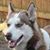 D.j. Rehberg's profile image