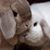 Traci Woolley's profile image