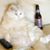 Chris Wilkie Sr.'s profile image