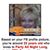 Ellen Jane Pollard's profile image